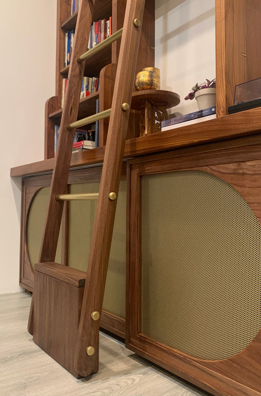 Aroush Study :: library shelf and cabinet