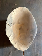 Adama : sculpted seat