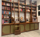 Aroush Study :: library shelf and cabinet